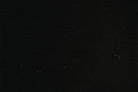 Gun Bullet GIF by Raye