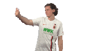 happy fc augsburg Sticker by Bundesliga