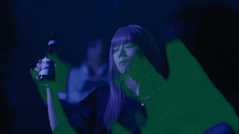 Party Partying GIF
