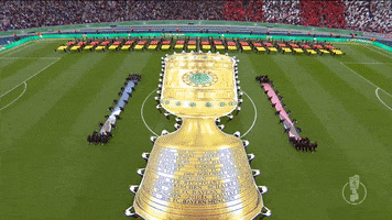 Sport GIF by FOX Sports