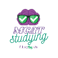 magoosh  Sticker