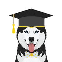 Dog Graduation Sticker by Michigan Tech