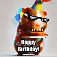 Happy Birthday Party GIF by Guinea Gambino