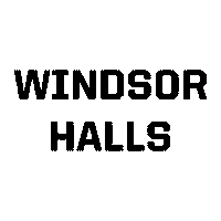 Black And Gold Life Sticker by Purdue University