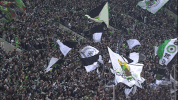fans GIF by Borussia Mönchengladbach