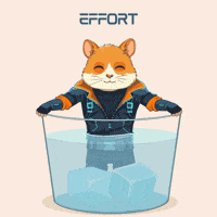Locked In Motivation GIF by Hamieverse