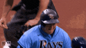 Celebrate Regular Season GIF by MLB