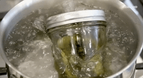viceland GIF by Bong Appétit