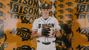 Baseball Bison GIF by NDSU Athletics