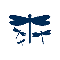 Insect Dragonfly Sticker by Babidu