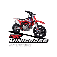 Beta Sticker by Betamotor Argentina