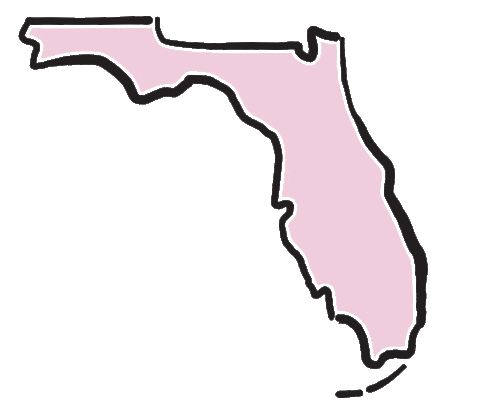 South Florida Beauty Sticker by laserbynicole