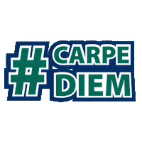 Mercyhurst University Carpe Diem Sticker by MercyhurstU
