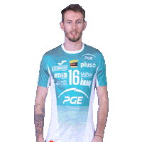 Gun Volleyball Sticker by PGE Skra Bełchatów