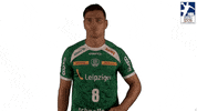 Handball-Bundesliga Sport GIF by LIQUI MOLY HBL