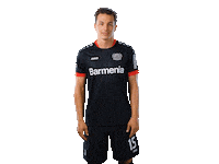 Bayer 04 Werkself Sticker by Bayer 04 Leverkusen