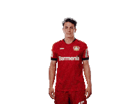 Bayer 04 Wtf Sticker by Bayer 04 Leverkusen