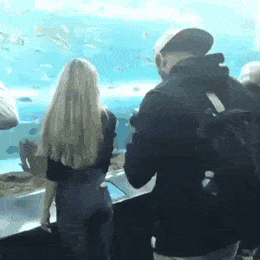 giffunme giphyupload GIF