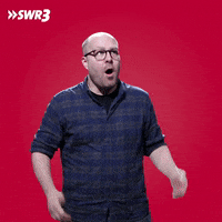 Oh My God Thank You GIF by SWR3
