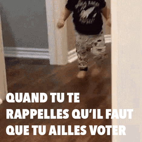 Parti_socialiste giphyupload baby vote election GIF