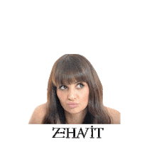 zehavit beauty style hairdresser hair style Sticker