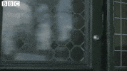 season 5 luther GIF by BBC