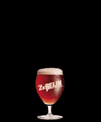 Zeppelincraftbrewery craftbeer flamingo zeppelin zeppelincraftbrewery GIF
