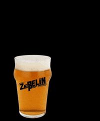 Zeppelincraftbrewery craftbeer flamingo zeppelin zeppelincraftbrewery GIF