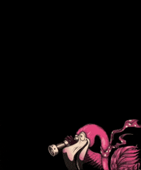 Zeppelincraftbrewery craftbeer flamingo zeppelin zeppelincraftbrewery GIF