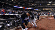 New York Mets Sport GIF by SNY