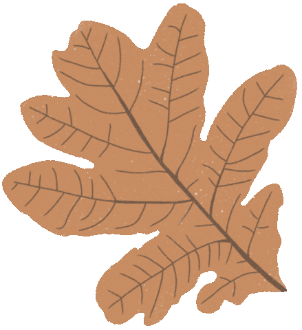Illustration Fall Sticker