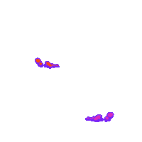 no way words Sticker by Hacchi