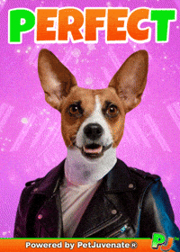 PetJuvenate petjuvenate henlo hooman fren love rescue dogs treatos and woofer for pupper GIF