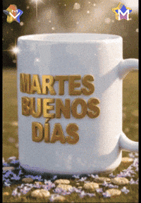 Feliz Amigos GIF by Murcianys LLC