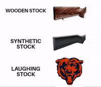 Green Bay Packers GIF