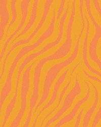 safariplay rainy day soft play safari play indoorplay GIF