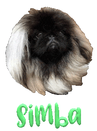 Dog Simba Sticker