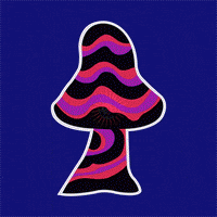 Art Trip Out GIF by MyxedUp