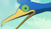 Bird Staring GIF by Pokémon