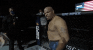 GIF by UFC