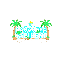 Fitness Baile Sticker by bembow