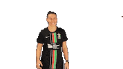 Celebrate Northern Ireland Sticker by Glentoran Women FC