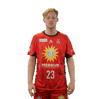 Handball Sticker by DAIKIN HBL