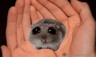 Good Night Sleep GIF by Sad Hamster