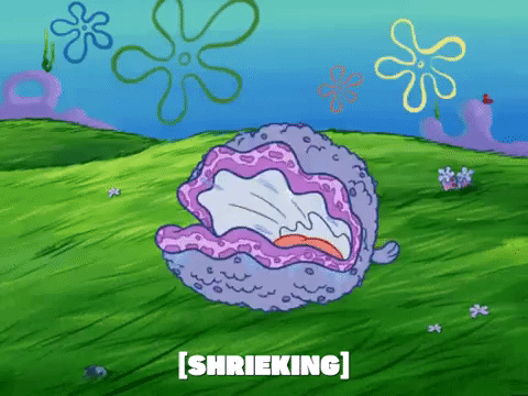 season 6 porous pockets GIF by SpongeBob SquarePants