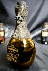 pablosskull party drink mexico relax GIF