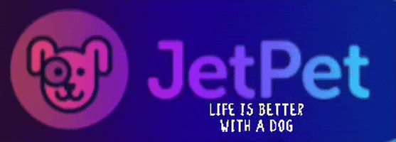 Jetpetresort giphyattribution GIF