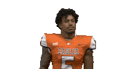Nfl Preseason Dust Sticker by Carson-Newman Athletics