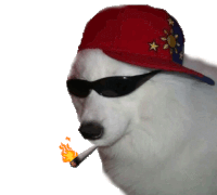 dog Sticker by namslam