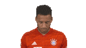 Fc Bayern Smiling Sticker by Bundesliga
